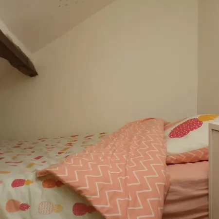 Apartment Sunny And Flat With A Cute Cat