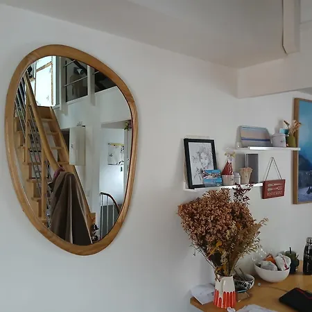 Sunny And Flat With A Cute Cat * Paris
