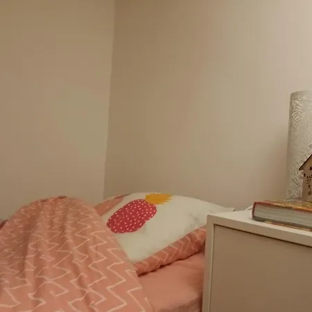 Sunny And Flat With A Cute Cat Apartment Paris