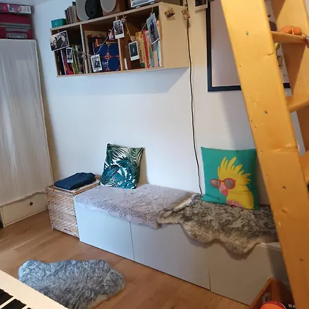 Sunny And Flat With A Cute Cat