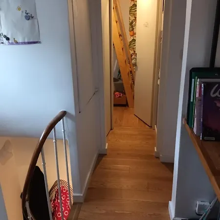 Apartment Sunny And Flat With A Cute Cat